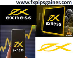 Everything You Need to Know About Exness Forex Broker Everything You Need to Know About Exness Forex Broker